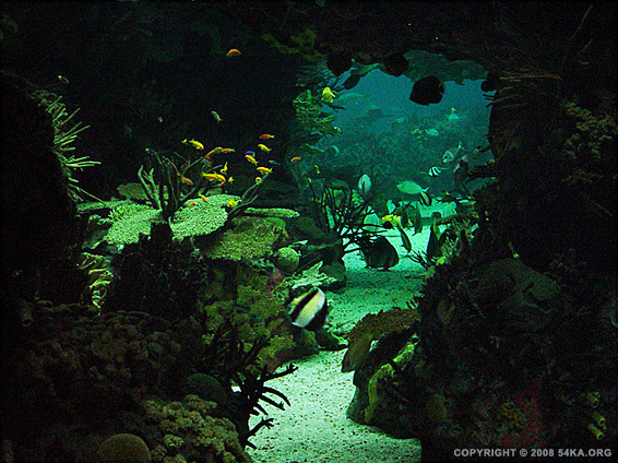 54ka_deep_blue_see_06.jpg