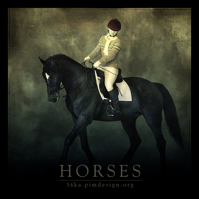 54ka horses :: Horses :: animals