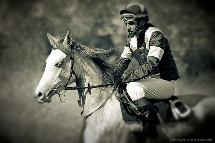 Race Horses photography horse photography black and white animals  Photo