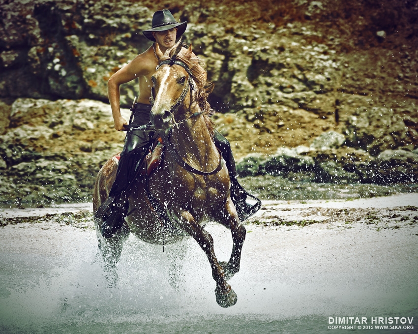 Water Horse Rider photography horse photography featured animals  Photo
