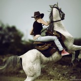 Horse Rider X