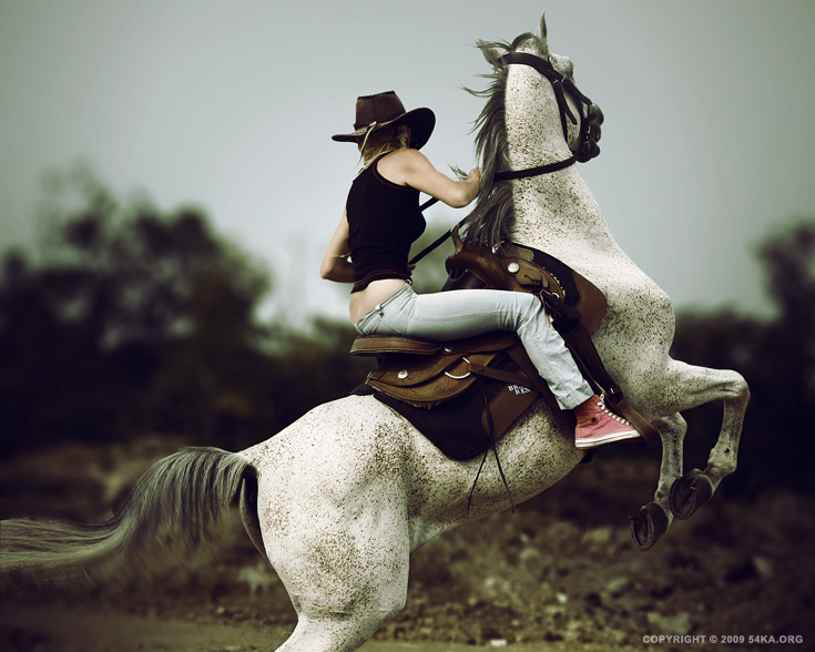 Horse Rider X photography horse photography featured animals  Photo
