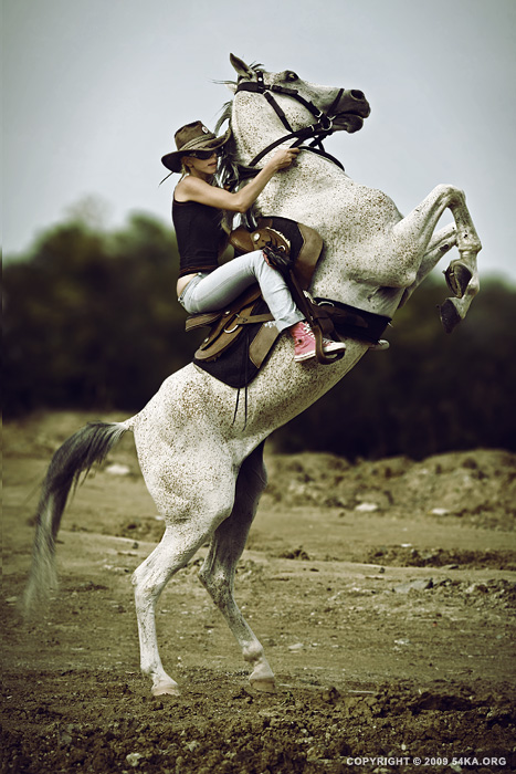 Horse Rider XI photography other horse photography featured animals  Photo