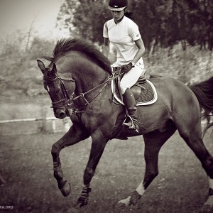Horse Rider Women XI