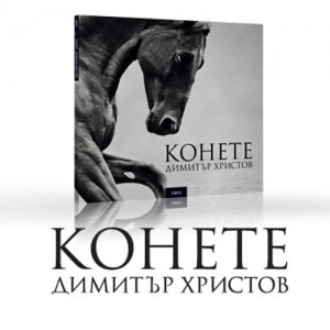 The Horses by 54ka – Book Trailer