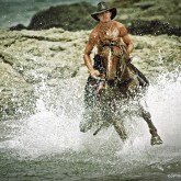 Water Horse Rider III