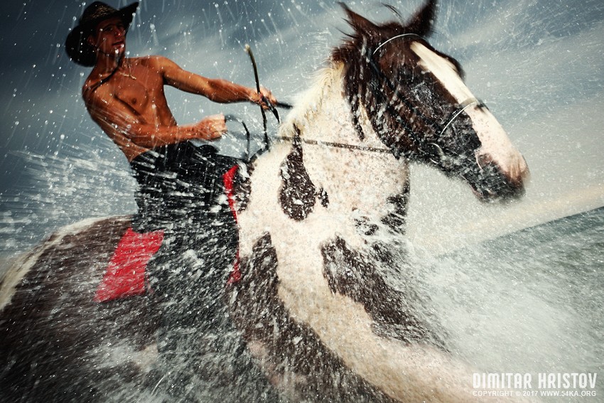 The Storm II photography horse photography featured animals  Photo
