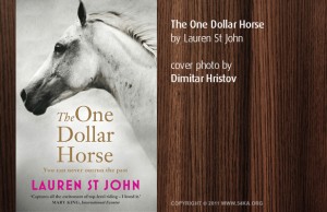 the one dollar horse