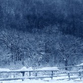 Winter landscape II