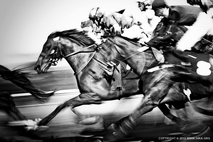 Horse Racing photography equine photography black and white animals  Photo