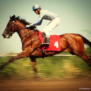 Horse Racing III