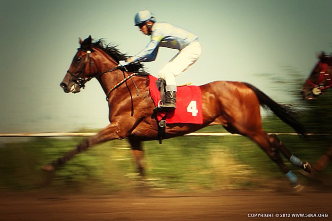 Horse Racing III - 54ka [photo blog]