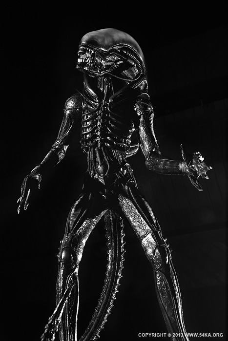 Alien Action Figures Toy III photography other black and white  Photo