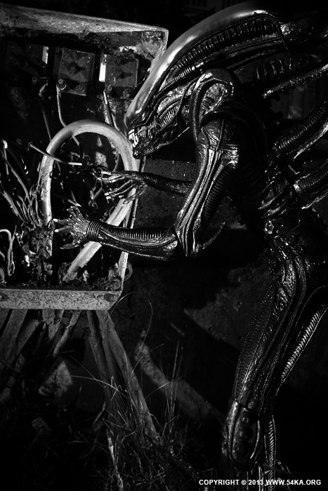 Alien Action Figures Toy II photography other black and white  Photo