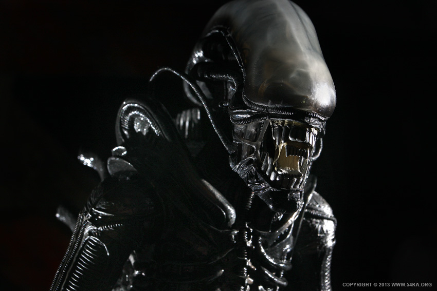 Alien Action Figures Toy photography other black and white  Photo
