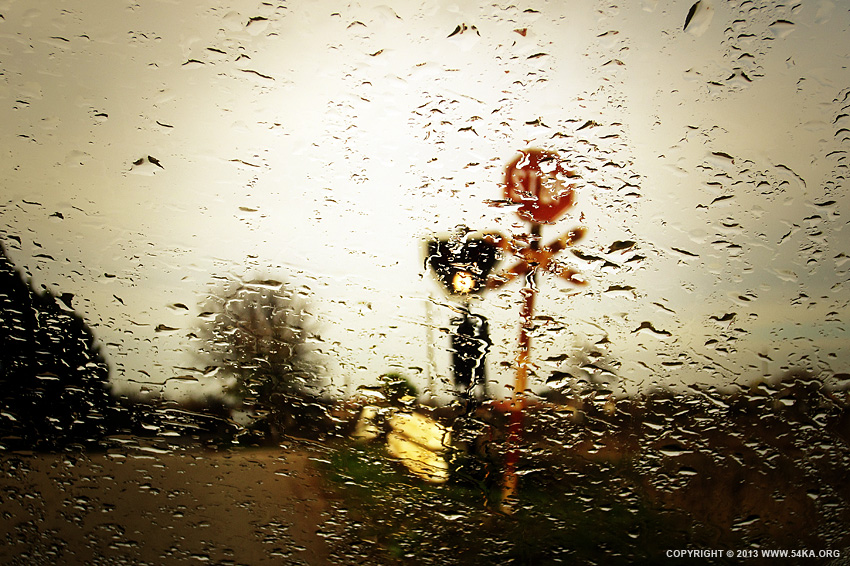 One Rainy Autumn Day photography other landscapes featured  Photo
