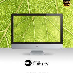 Green Leaf FullHD Desktop Wallpaper 1920×1080