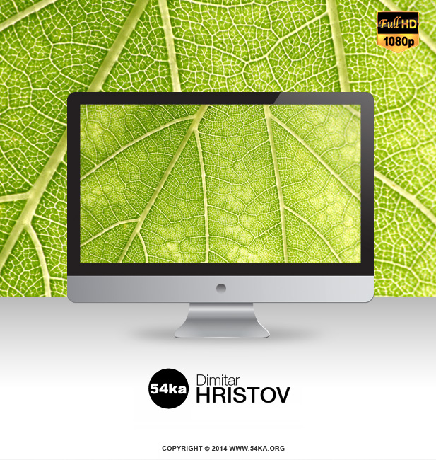 Green Leaf FullHD Desktop Wallpaper 1920×1080 wallpapers  Photo