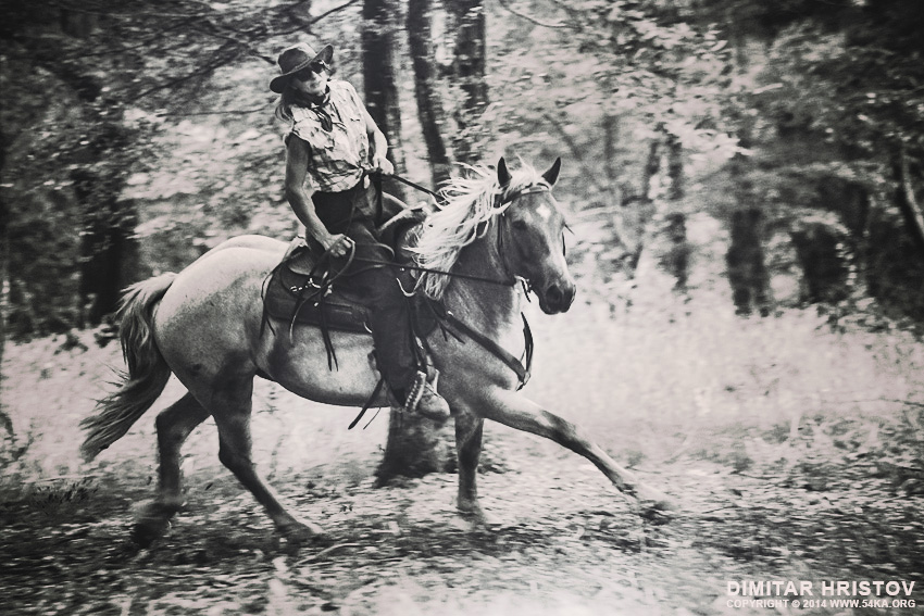 Cowboy Woman Riding in The Forest photography portraits equine photography black and white animals  Photo