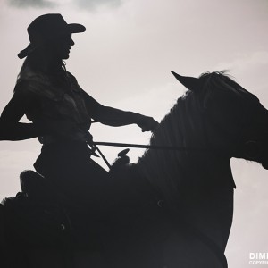Cowgirl and horse silhouette