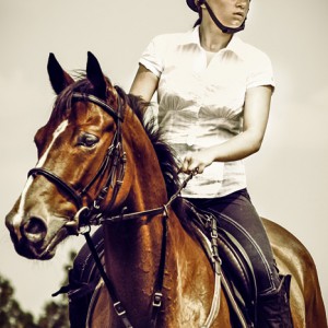 Girl jockey on purebred brown horse