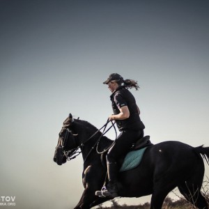 Woman riding galloping horse at dusk