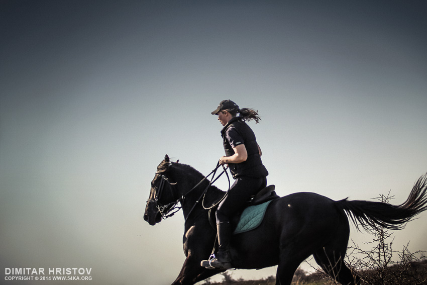 Woman riding galloping horse at dusk photography horse photography featured animals  Photo
