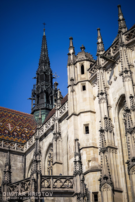 St. Elisabeth Cathedral   Kosice photography urban other featured  Photo