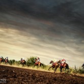 Running horses competition on the stormy sky