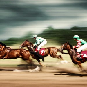 Gamble horses – Race horses galloping
