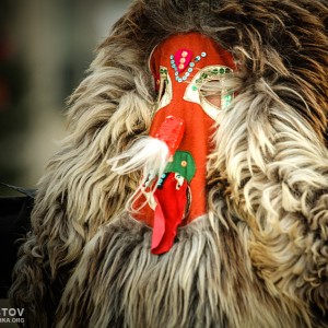 Unidentified man in traditional Kukeri costume – Bulgarian traditional ritual