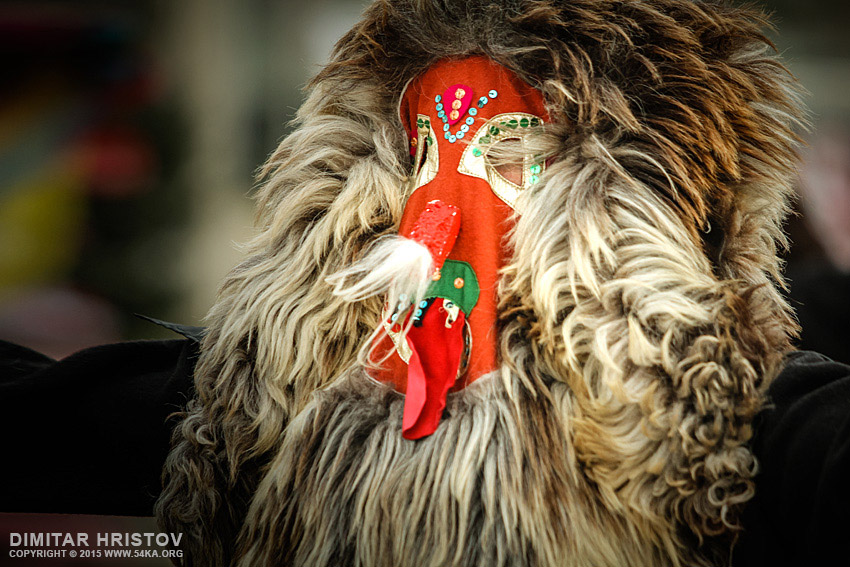 Unidentified man in traditional Kukeri costume   Bulgarian traditional ritual photography portraits other top rated featured  Photo