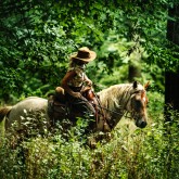 Woman riding horse in the forest