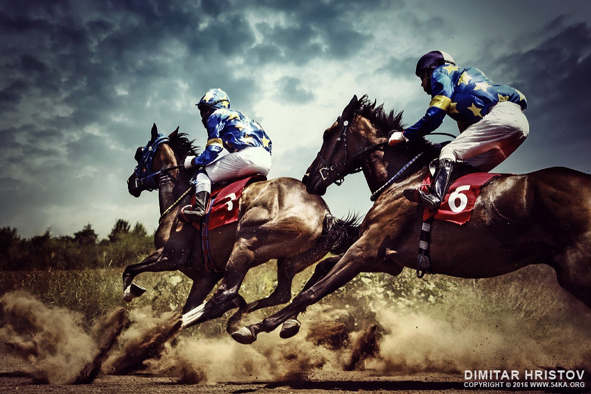 Gambling horses   horse competition photography horse photography top rated featured animals  Photo