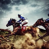Running horses – Competition – Jockeys in horse race