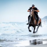 Black police horse running in the sea