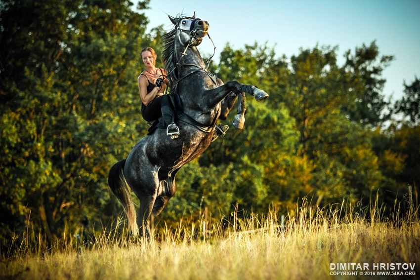 Girl riding rearing up horse photography horse photography featured animals  Photo