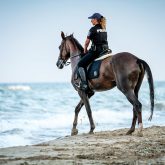 Policewoman riding horse on the beach