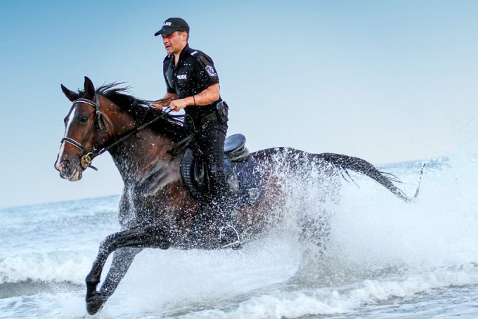 Policeman riding fast horse in the water - 54ka [photo blog]