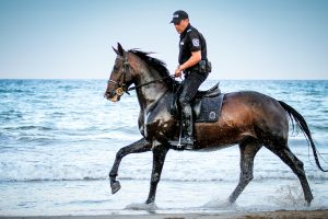 Policeman riding horse in the water on the beach - 54ka [photo blog]