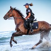 Policewoman riding horse in the water on the beach
