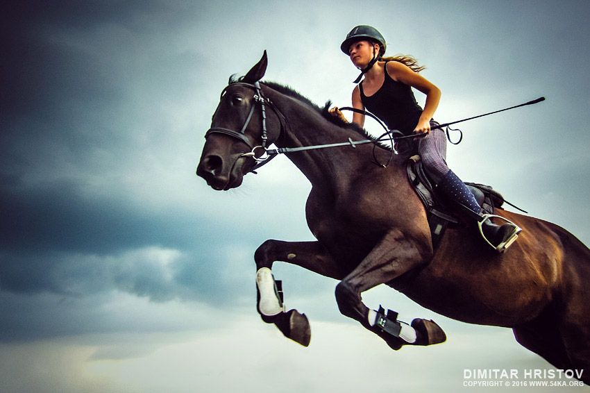 Female jockey with purebred jumping horse - 54ka photo blog