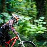 Rider in action – mountain bike