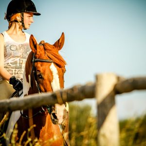 Training day – Jumping Horses