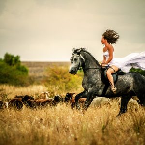 Beautiful woman wearing long white dress riding on black horse
