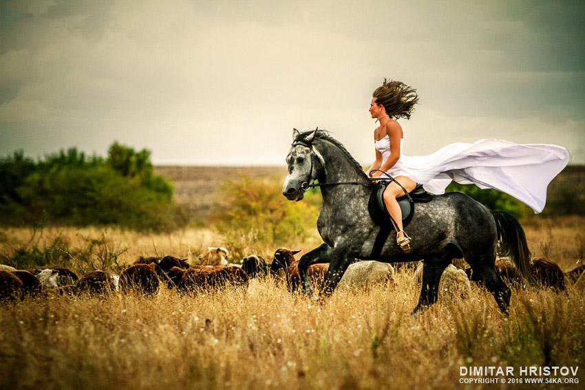 Beautiful woman wearing long white dress riding on black horse photography horse photography featured animals  Photo