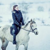 Running Horse In Snow Winter Landscape