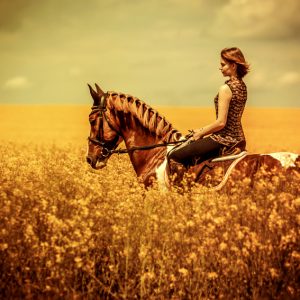Beautiful girl riding horse at the field