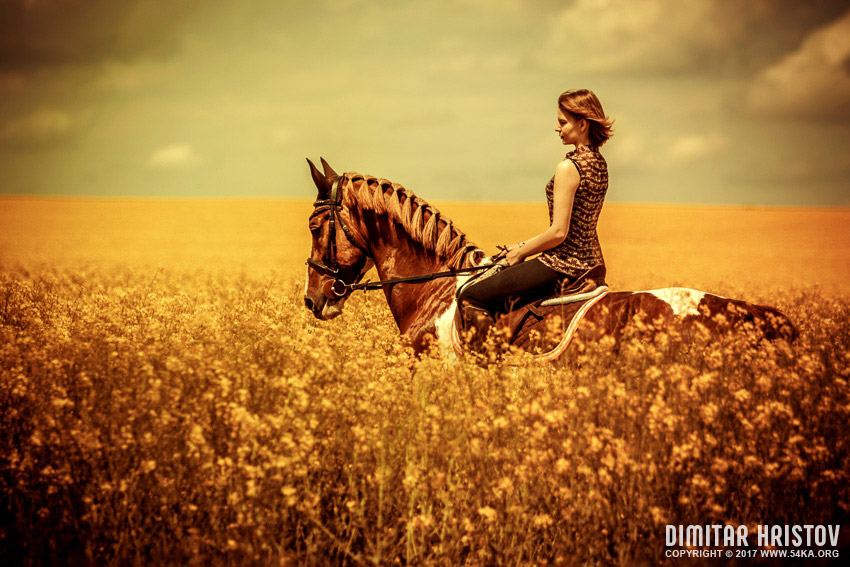 Beautiful girl riding horse at the field photography portraits horse photography featured  Photo