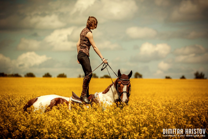 Girls riding horse in beautiful meadow - 54ka [photo blog]